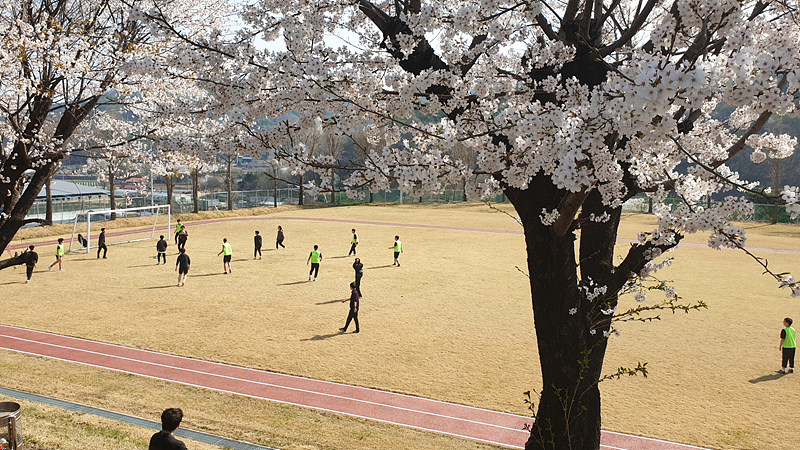 KakaoTalk_20230402_160438567_13.jpg